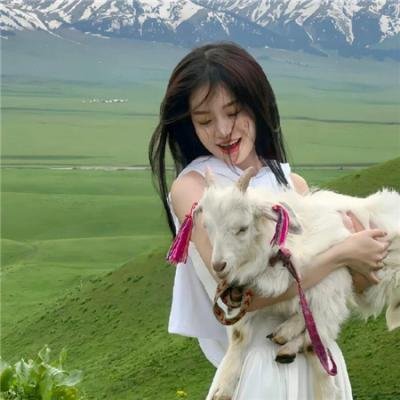 大师的菜 海报