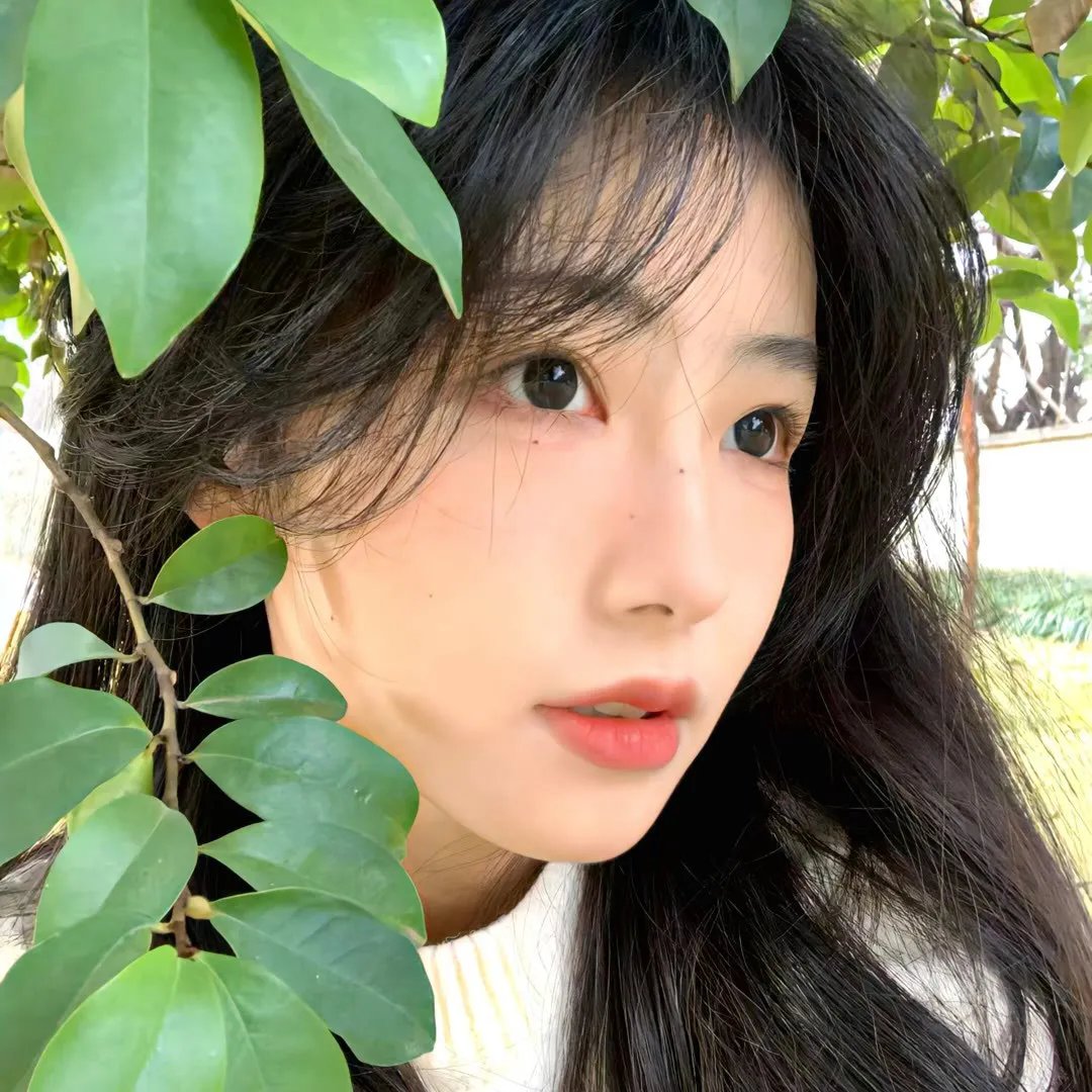 冰狗任务 海报